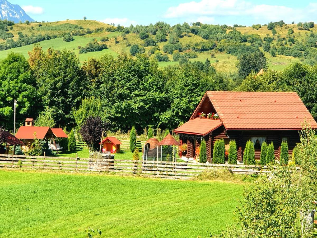Villa La Casute Bran à Bran  Extérieur photo
